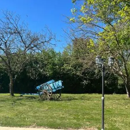 Belle Dependance Avec Piscine